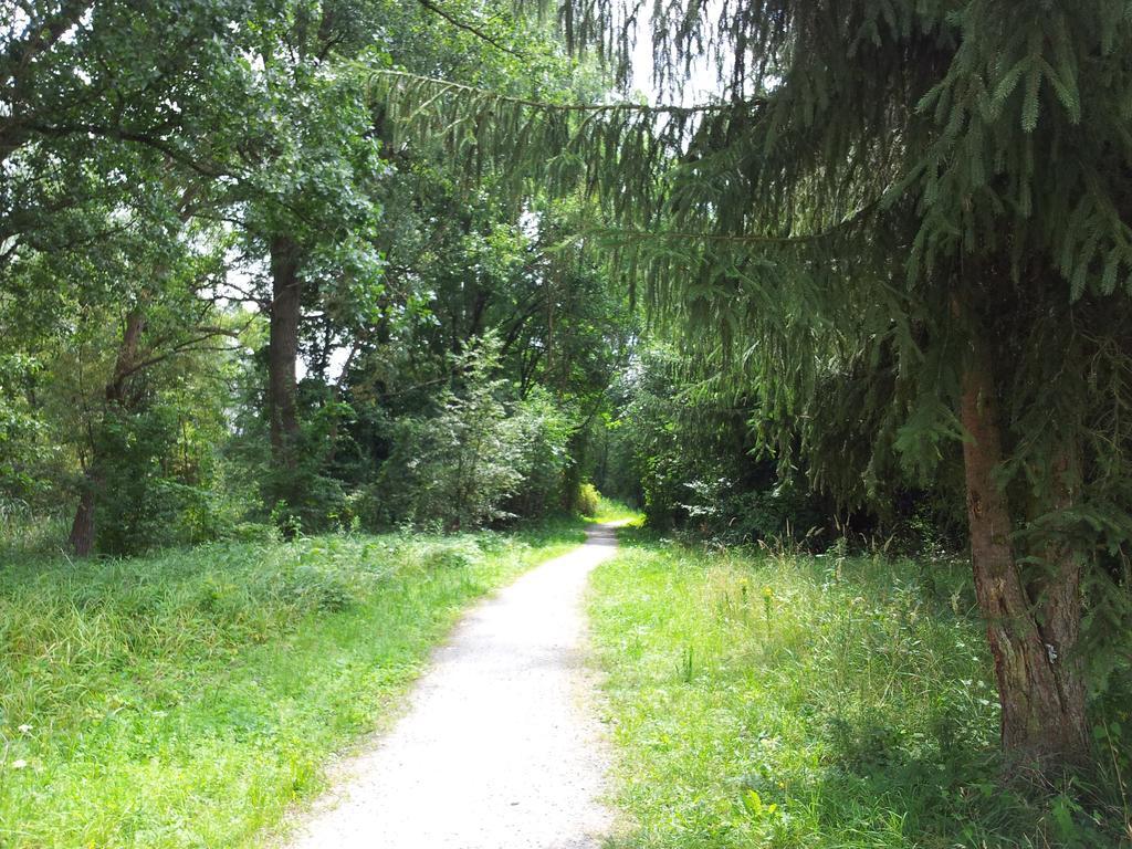 Appartamento Spreewaldhaus Zum Schoberplatz Lübben Esterno foto